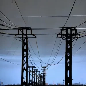 Какие участники работают на рынке электроэнергии и за что они отвечают