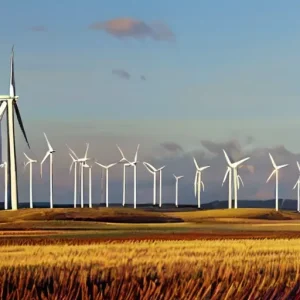 Почему прогнозирование потребления важно для участников энергорынка