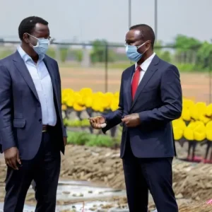 Что важно понимать о роли новых технологий в развитии отраслевой устойчивости